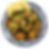 Makali Courgette