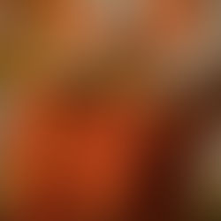 Quien ignora las Escrituras, ignora a Cristo.