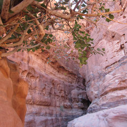 2018-08-25 08.51.27.jpg