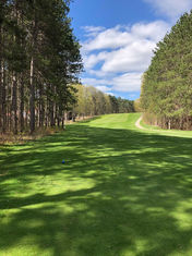 Red Pine Retreat rental property Crystal Mountain in Thompsonville Michigan