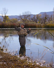 Screen Shot 2022-02-23 at 8.27_edited.jp