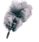 PIUMA.png