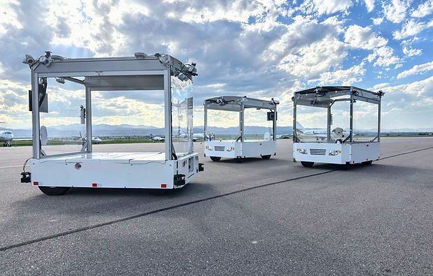 Three Pattern Baggage Robots