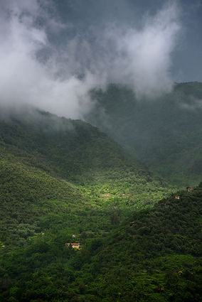 Ceriana20190528-154219_Flickr.jpg