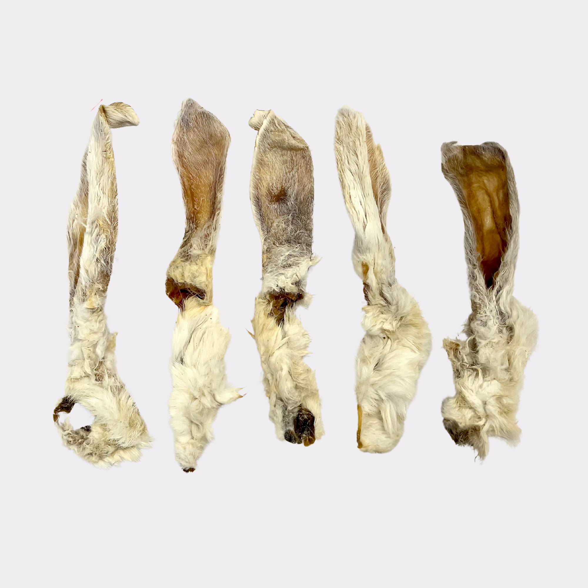 Five dried rabbit ears dog treats lined up vertically.