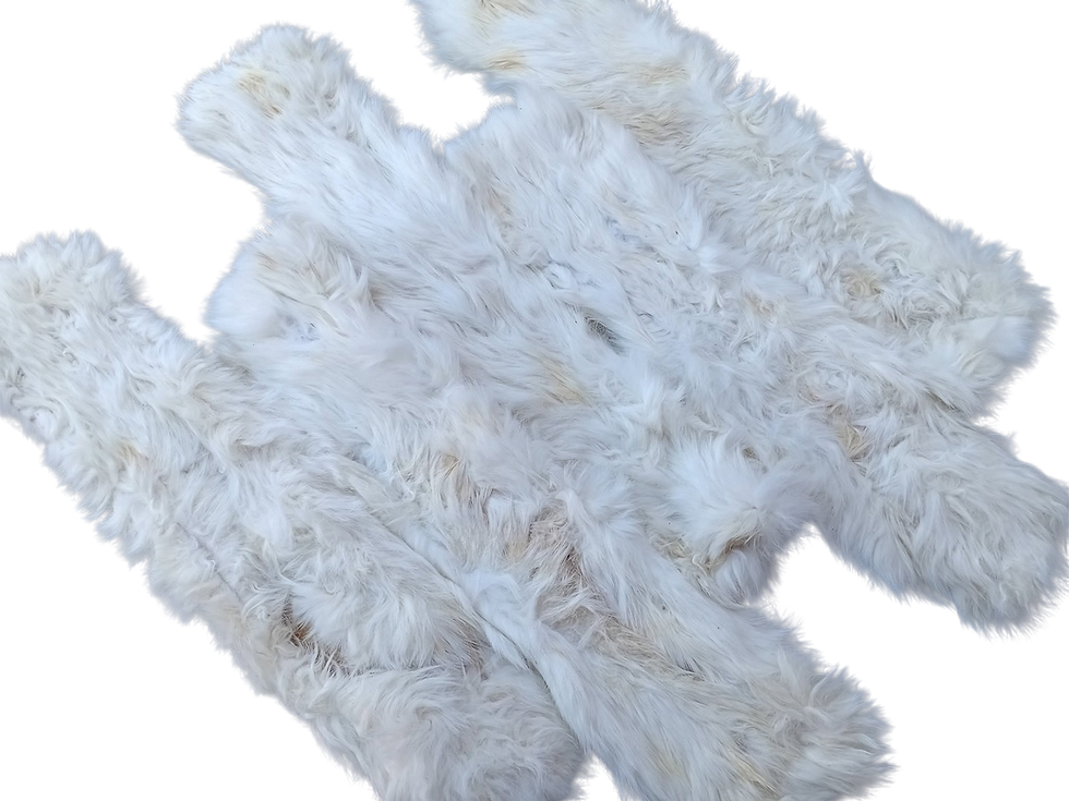 Xl Rabbit skins with hair