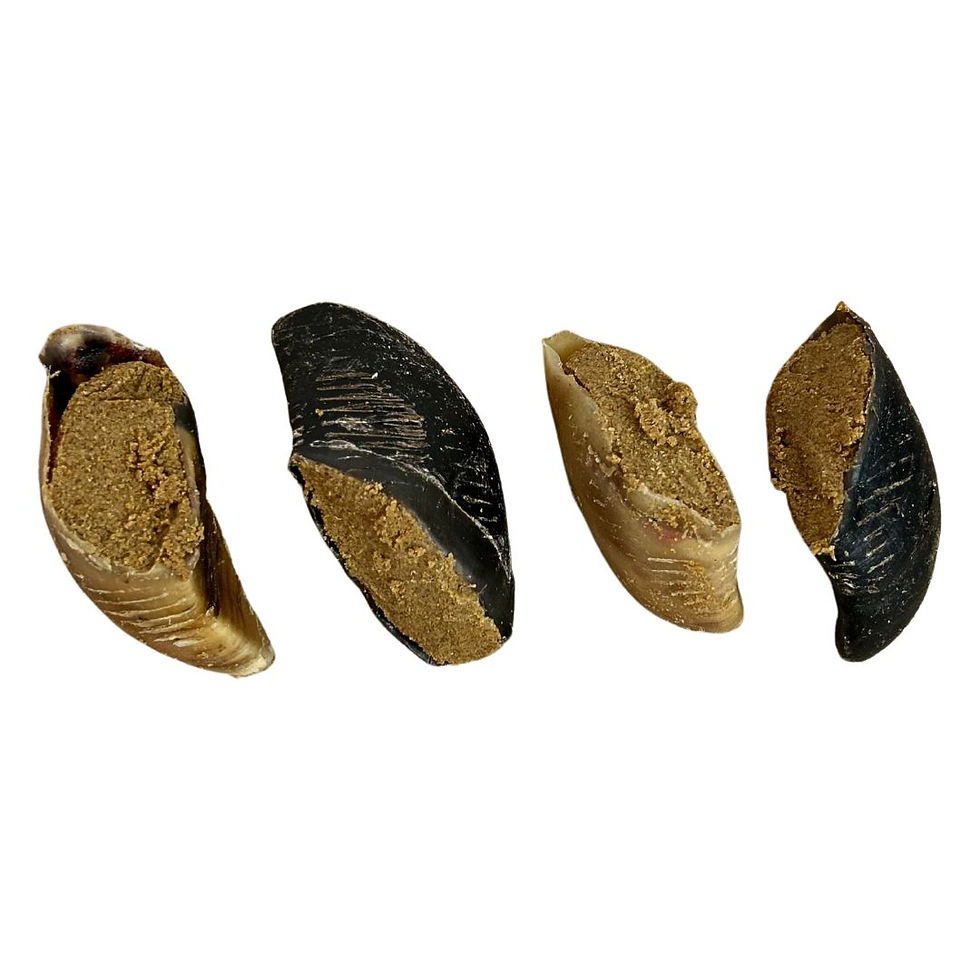 Four beef hooves filled with peanut butter dog treats