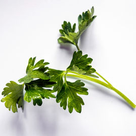 All About Parsley