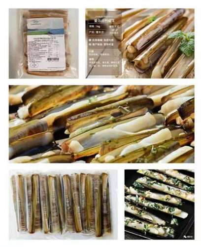 5027 Razor Clams | Aushin Seafood