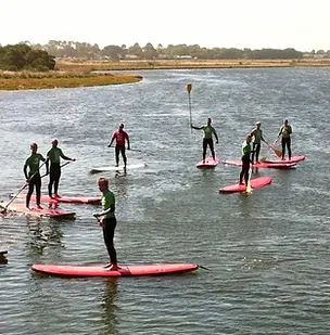 Group of guests on paddleboards
