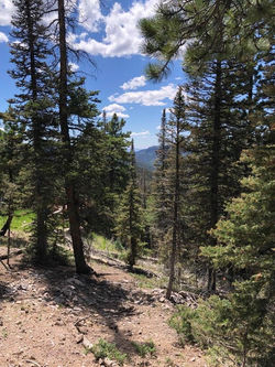 20230316212515324473000000-o