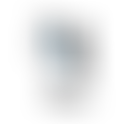 Bloem Clinic Logo for herbal medicine clinic