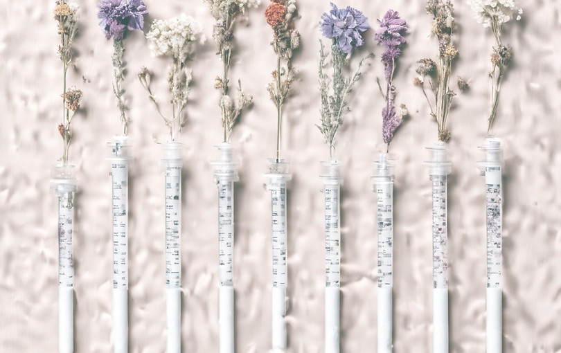 multiple plunger syringes with dried flowers_edited_edited.jpg
