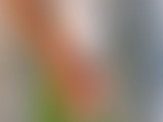 Handicap Golf System