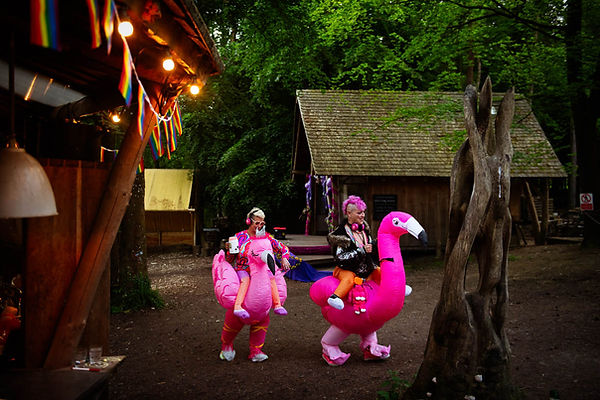 guests dressed as pink flamingoes