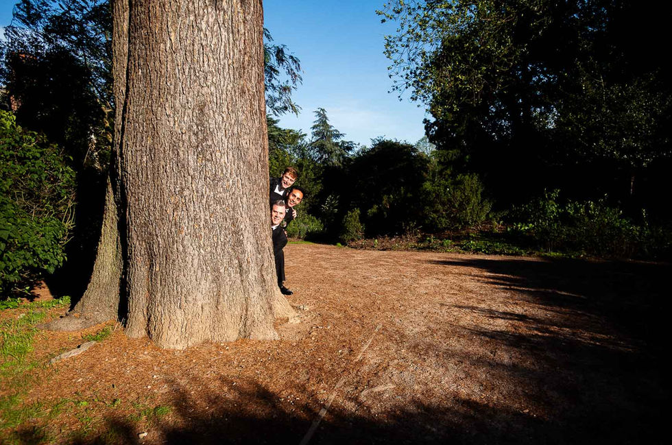 Three groomsmen peeking behind tree