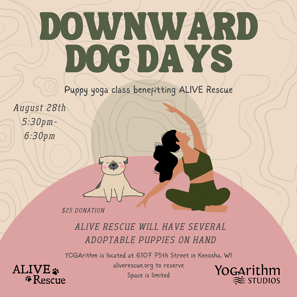 Downward Dog Days