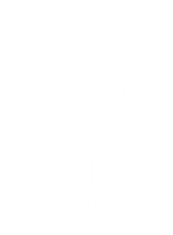 Simulador de Golf