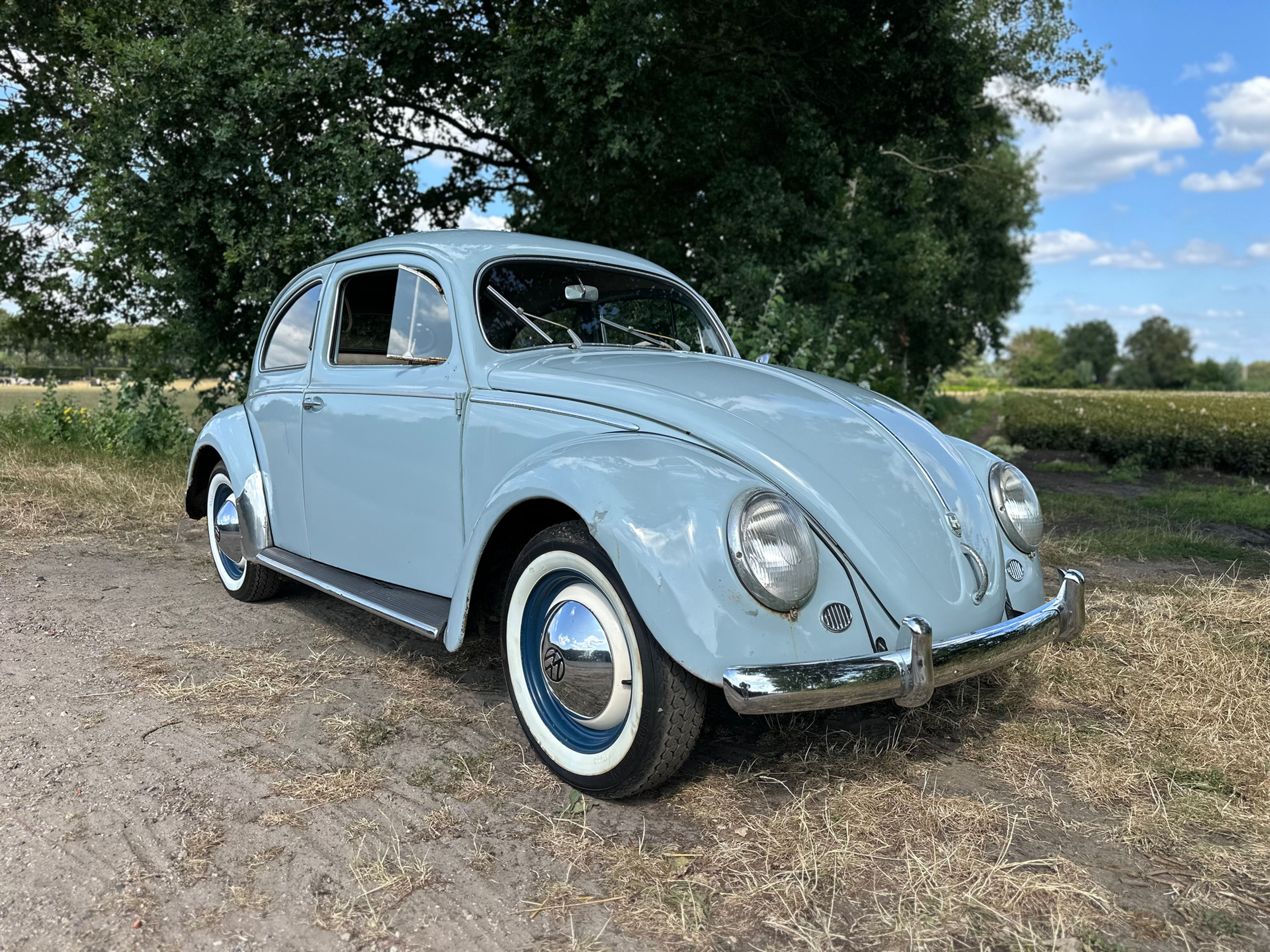Volkswagen 1956 ovaal