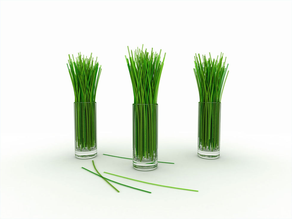 Lemongrass Essential Oil