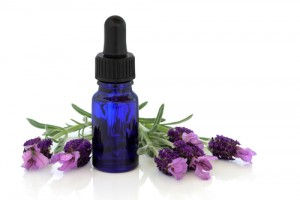 Lavender Essential Oil