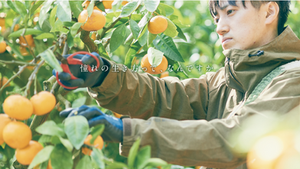 和歌山県～かなえよう！わかやまLIFE～