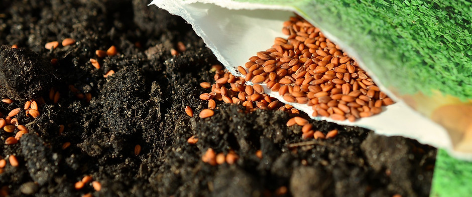 Seed Delivery