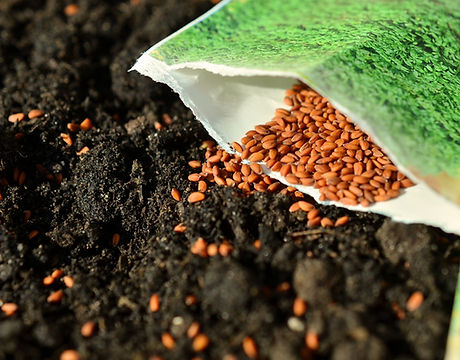 Seed Delivery