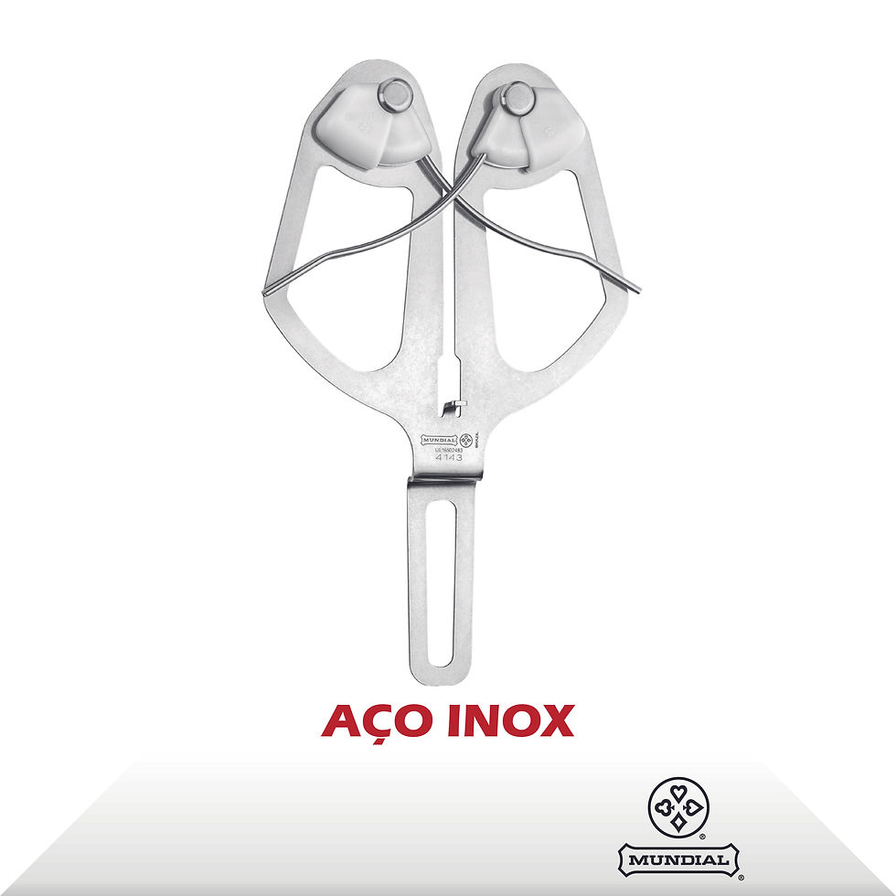 Chaira Y Inox Lisa 4143 Mundial Série 5500