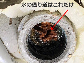 築23年経過したお風呂の排水管が凄かった(◎_◎;)