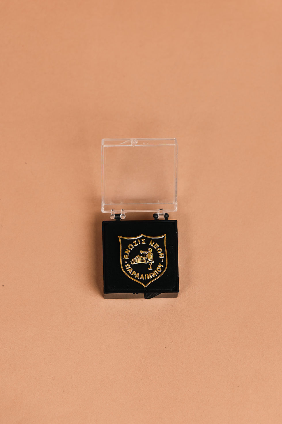 Thumbnail: ENP FC Metal Pins