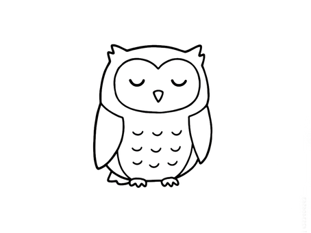 Τάξη Κουκουβάγιας 🦉