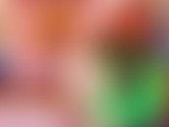 Meet Our Team - Barb