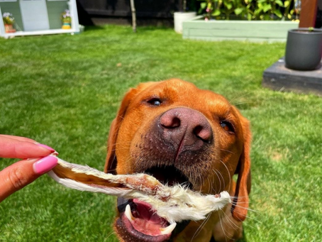 Frequently asked questions