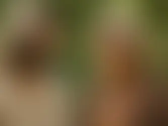 II Das Evangelium nach Maria