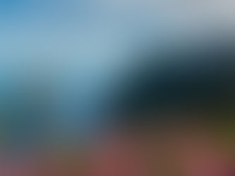 São Miguel | L'île verte des Açores