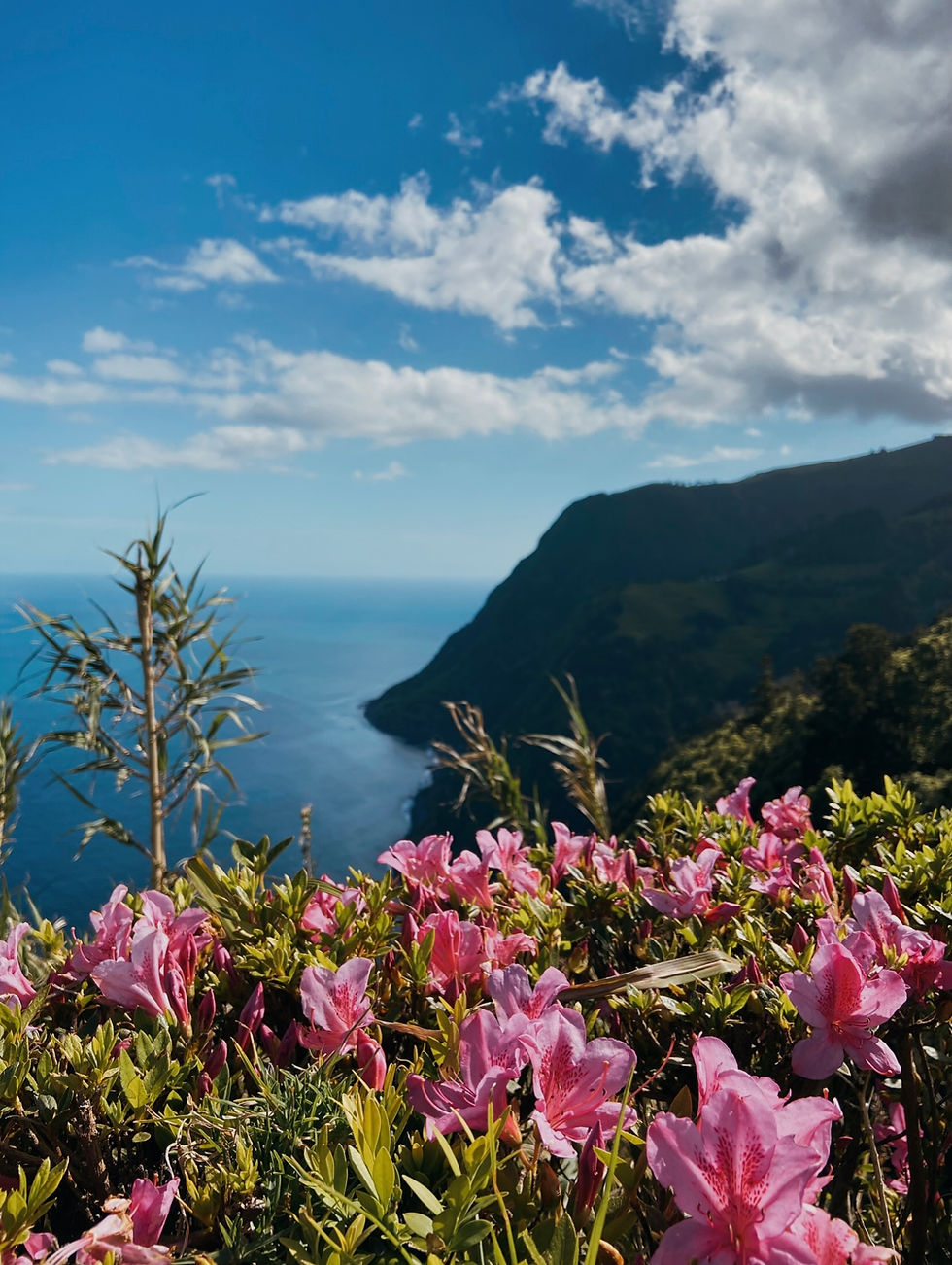São Miguel | L'île verte des Açores