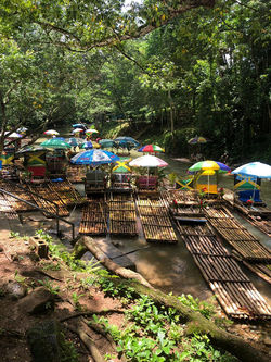 WhatsApp Image 2025-09-13 at 08.04.53 (3)