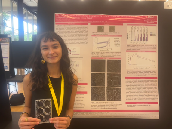 Engineering a Nanoparticle Delivering Bandage
