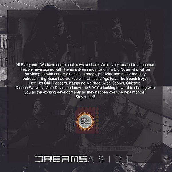 Bignoise Promo.jpg