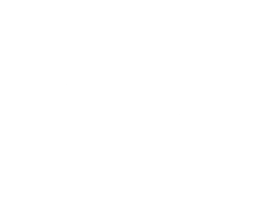 LV Isotipo.png