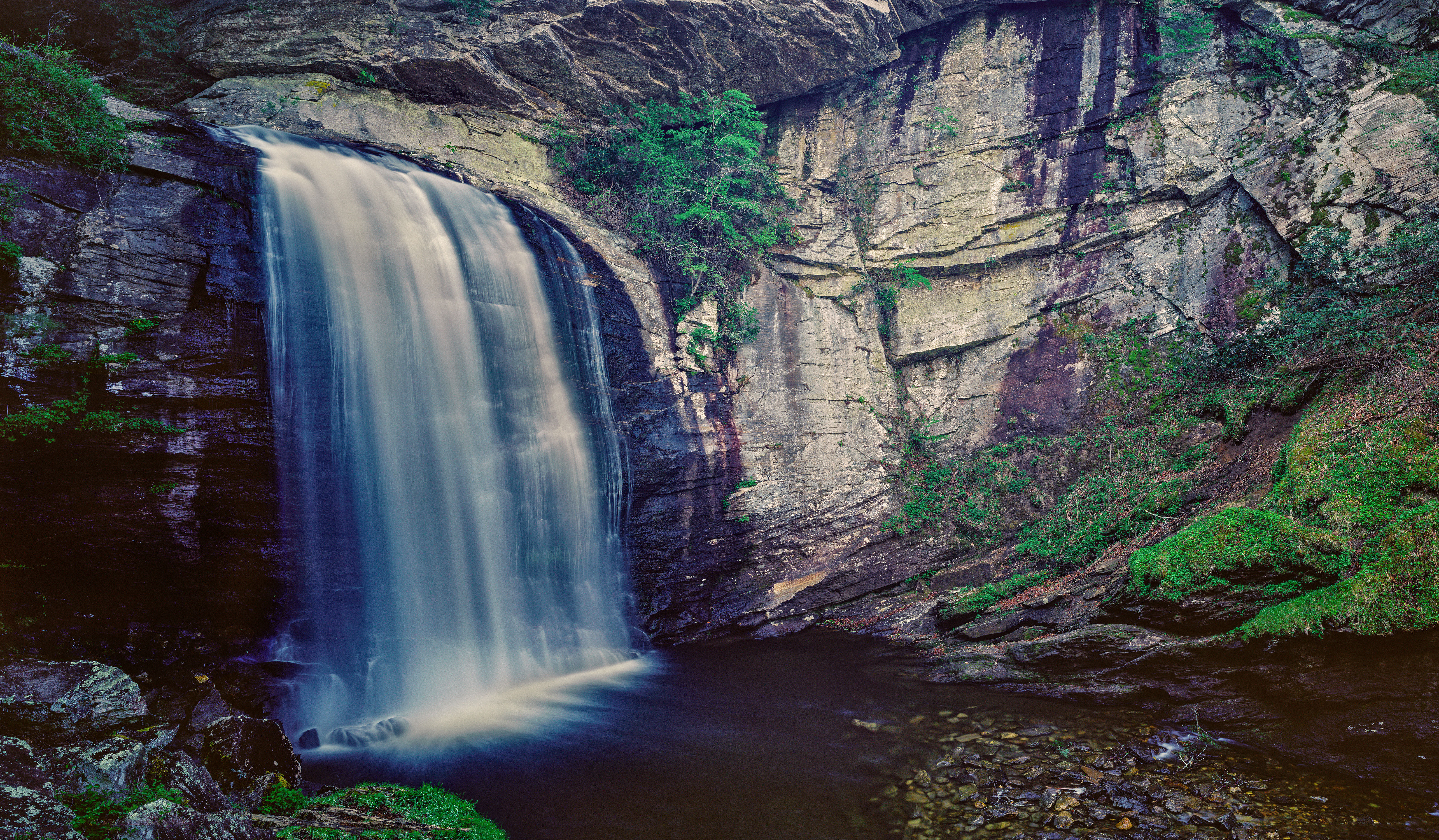 Looking Glass Falls