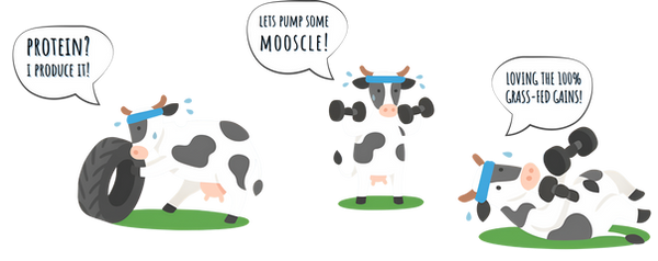 Cows Workout.pdf.png