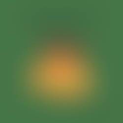 Mi'gmaq Lesson of the Day