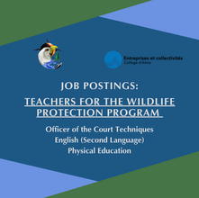 Job Opportunities! Teachers needed for the Wildlife Protection Program