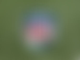 How COVID-19 Changed The Whole NFL Season (Again)