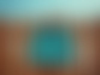 Rip Curl Boardshort Offers: Sale Highlights and Deals