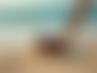 Affordable Bicep Leashes for Bodyboarding - Bicep Leash Pricing Guide