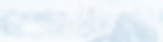 Mountain Strip - W.Logo.jpg