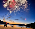 feu d'artifice.png